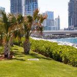 Your Perfect Day Exploring the Best Neighborhood Spots Near Al Barsha 